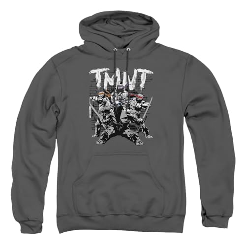 Popfunk TMNT Teenage Mutant Ninja Turtles Unisex Adult Pull-Over Hoodie Charcoal Medium