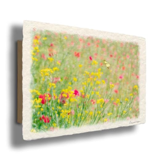 i G CeA A[gpl  G   Ǌ| åGʐ^ uL`Eƍ؂̉Ԃƃ|s[̉Ԕv plt 30x21cm t Ԃ̊G F Natural Memories