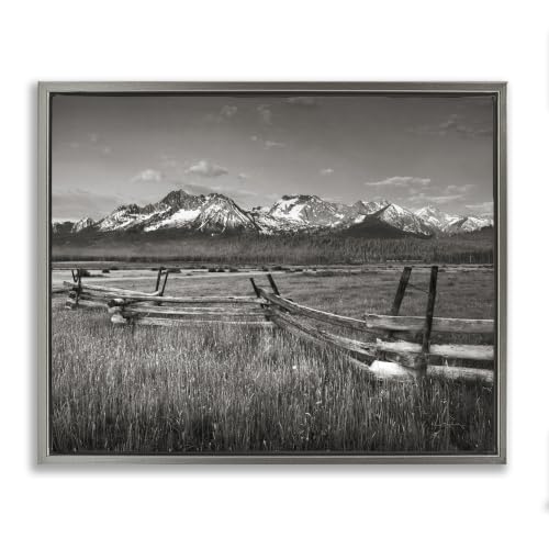 Fence Meadow Landscape Photography, 16 x 20 Inch Canvas in Floater Frame