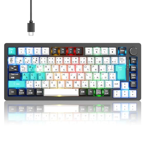 JjJL[{[h y2025NƊEIWiJE{zƃJi󎚈́z75% KXPbgQ[~OL[{[h L E JX^}CYL[{[h USB C/Ap 82L[ PBTL[Lbv  40G mut LEDobNCgMa