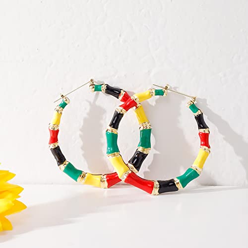 Rainbow Bamboo Hoop Earrings Pride Earrings Outfits for Women Colorful Gay Lesbian Lgbt Earring Pride Jewelry Shirts Accessories Gifts3