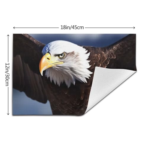 Set de table en vinyle motif aigle lavable 30x45 cm - Lot de 6