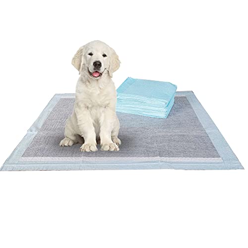 Image of BV Charcoal Puppy Pads 600 Count 22 inchx22 inch - Leak-Proof Pee Pads for Dogs with 6-Layer Absorbent Design & Built-in Attractant - Dog Pad with Charcoal for Odor Control, Perfect for Puppies & Senior Dogs