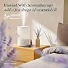LEVOIT Humidifiers for Bedroom Large Room, 3L Cool Mist Top Fill Oil Diffuser for Baby Nursery and Plants, 360 Degree Nozzle, Quiet Rapid Ultrasonic Humidification for Home Whole House, White