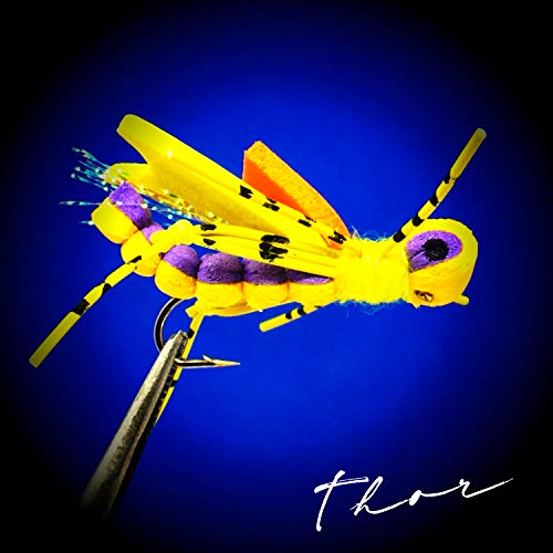 Thor Outdoor Indicator Foam Hopper - 6 Pc Topwater Fly Fishing Set For Bass, Panfish, And Trout - Assorted Colors - Hook Size 10 #TOP3
