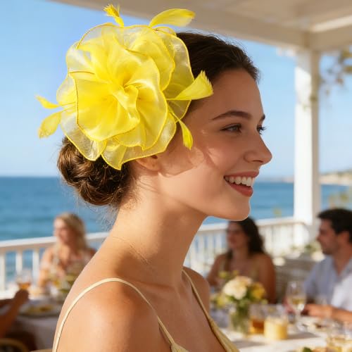 Image of DRESHOW Fascinators Hat Tea Party Headwear Ribbons Feathers on a Headband and a Clip for Women
