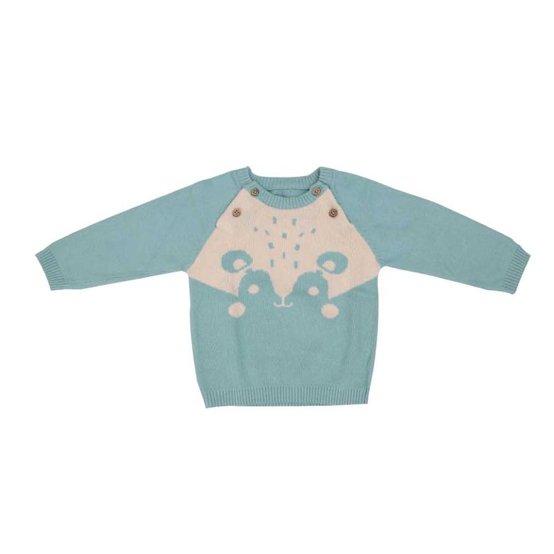 A toddler thing Full Sleeve Sweater | Winter Wear | for Boys & Girls | Softness & Ultimate Comfort | Fine Woolen Blend | Stylish & Snug | Ideal for Winter Warmth | Knitted Cotton | 1-2y