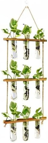 XXXFLOWER Wall Hanging Propagation Station with Wooden Stand Glass Test Tubes Tiered Planters Wall Terrarium for Home Office Plant Hanger Flower Vases Wall Decor Hydroponic Cuttings (9 Tube Vases) - Image 8