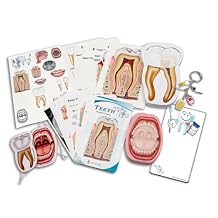 Dental Student Education Gift Set