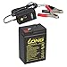 Produktbild AGM BLEI AKKU Batterie 6V 4,5Ah kompatibel für Kinderfahrzeuge Kinderauto Kinder-Quad LC-R064R5P 3-FM-4,5 20HR 3 FM 4.5 3FM4,5 3FM4.5 6V 4Ah BLEIGEL Gel + LADEGERÄT