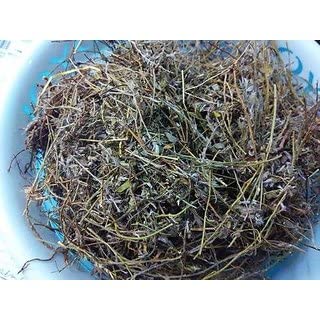 Kwality - DRY SANKHPUSPI (25 g)