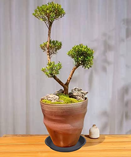 Saucerhome Plant Saucer Pot Tray 14 Inch (14.2 Inch), 4 Packs Plastic Flower Planter Saucers And Drip Trays For Indoors Outdoors, Thick Heavy Sturdy Durable Plant Plate Water Catcher (Black) #TOP4