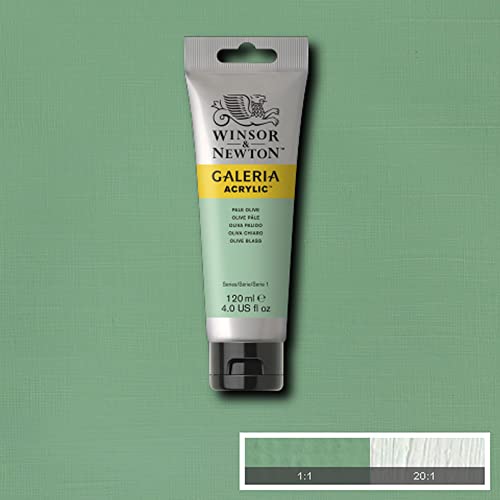 Winsor & Newton 2131435 Galeria Acrylfarbe, hohe Pigmentierung, lichtecht, buttrige Konsistenz, 120 ml Tube - Olivgrün Hell