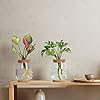 onepeng 2Pcs Propagation Vases for Plants, Well-Made Plant Terrarium, Hydroponic Glass Container Vase Jars, Plant Lover Gifts for Women, Windowsill Kitchen Desktop Decorations #4