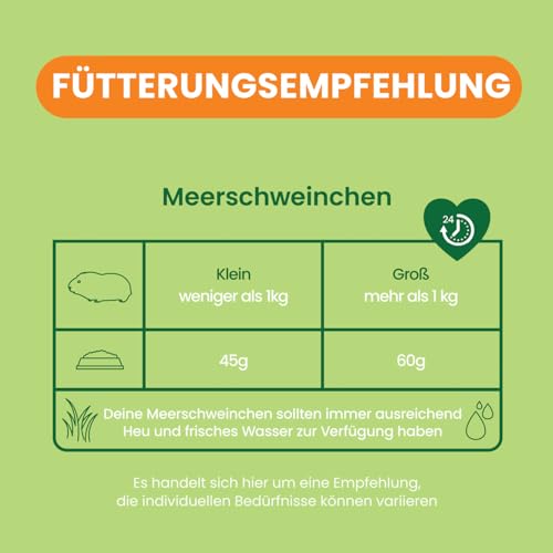 Excel Guinea Pig Food, Green, 3 kg (Pack of 1) - Image 2