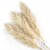 Pampas Grass 47” Inches Tall - 3 Large Naturally Dried Beige Stems - Add to Your Boho Home Decor, Fluffy Flower Arrangements for Chic Living Room, Wedding Floor Vases, and Party Decorations