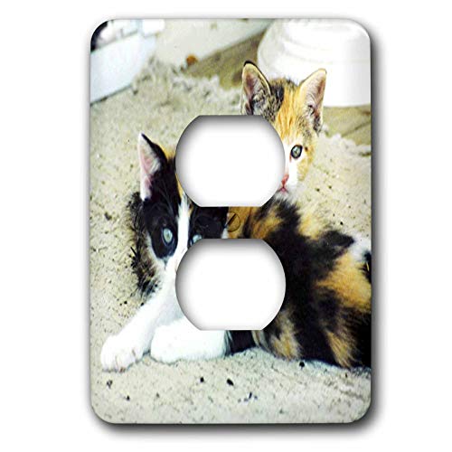 Cache-prises Calico chatons pour une ambiance cocooning lot de 2 accessoires de salon