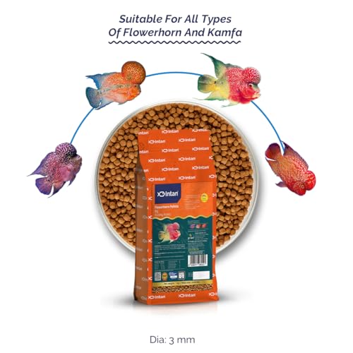 Image of Intan Flower Horn Pellets (Big 3.0mm Floating) | 1Kg - Highly Nutritious Ornamental Fish Food for Flowerhorn & Kamfa | Growel Feeds