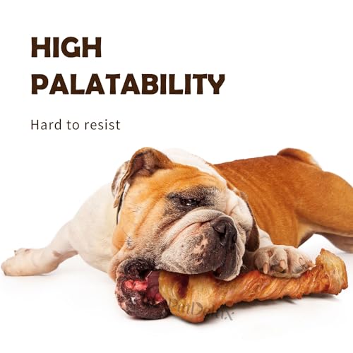 Ipaw Turkey Tendon For Dogs thumb #3