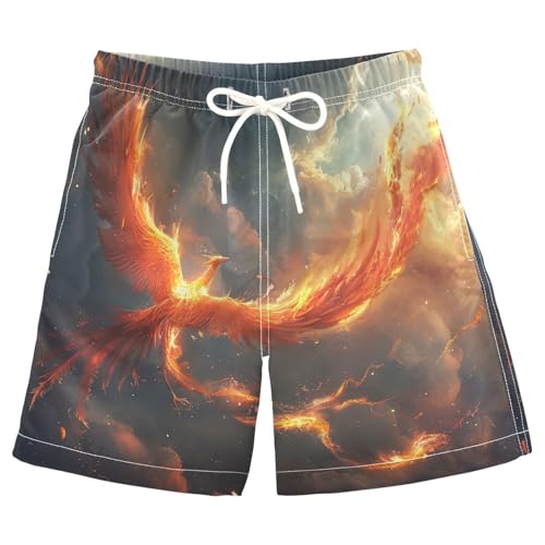 Phoenix Boys Swim Trunks with Compression Liner,Quick-Dry Stretch Swim Shorts UPF 50+ （789）