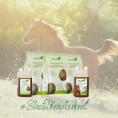Foto von Stiefel Stoffwechselkräutersaft für Pferde, aus einer 100% naturbelassenen Kräutermischung, Unterstützung bei der Verwertung von Kohlenhydraten & Zucker, flüssig, 1l