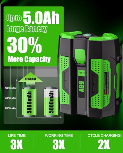 Image of 2Pack 56V 5.0Ah Replacement for EGO Battery:Lithium ion Battery BA2800T BA4200T BA1400T Compatible with All EGO 56 Volt Tools and Chargers
