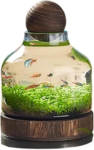 CokBlu�ؐ��x�[�X�t�������K���X���� ���^���� �Ϗ܋��p ���r ���k�͔| �ԕr �C���e���A�K���X�e�� �������ȏ����f�B�X�v���C (24*17cm)