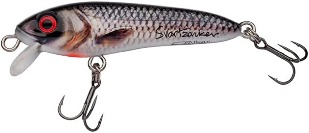 Abu Garcia Svartzonker McCelly Fishing Lure | Realistic Hand-Painted Design | Equipped with Strong Berkley Fusion19 Treble Hooks | Predator Fishing, Pike - 90g | 170mm - Real Roach