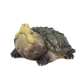 動物の惑星】☆88体限定開口ワニガメPlus☆ Amazon.co.jp: 動物の