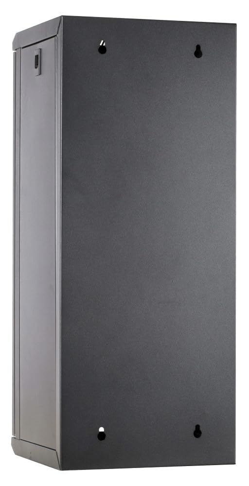 Baie de Serveur de 10 Pouces 15U avec Porte en Verre 312x310x752mm (LXPXH) - Noir - Verrouillable - pour la Maison et Le Bureau - Construction Robuste