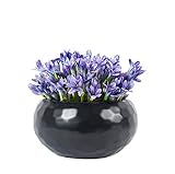 Hotelmöbel und Wohnzimmerhandwerk, künstliche Pflanzen und Blumen, Kunststoffblätter sind leicht zu reinigen und zu sorgen, innengrünen Pflanzendekoration.