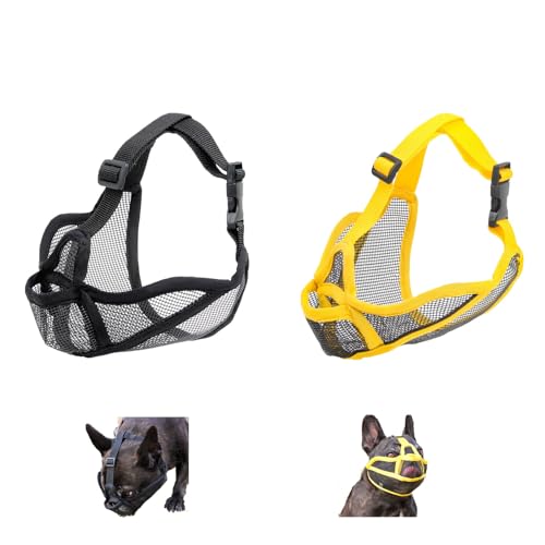 YYKSYDPT p bV}XN Hׂ i ݂ Ƌ̑h ^ ^ ^̃t`uhbOɓKĂ܂ (+, L)