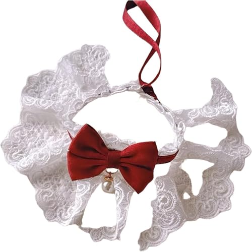 Refoya Lp p[[X̒lN^Ct ꉺnK[t p p߉\ y ybgpXgbv vZXX^C t@bV (bhi2j,S)