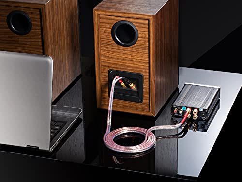 1 Pair 13Awg Hifi Ofc Speaker Cable With Gold Plated Banana Plugs, 2 Banana Plugs To 2 Banana Plugs,Speaker Wire For Audiophile (3 Feet) #TOP4