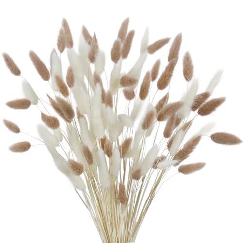 CISDUEO 120pcs Dried Bunny Tails Flowers Lagurus Ovatus Tail Dried Flowers Pampas Grass White and Light Brown Natural Dried Floral Arrangement for Boho Decor Home Wedding DIY Farmhouse Table 17