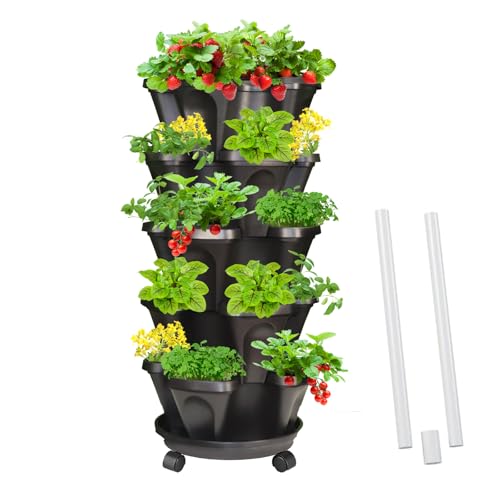 Tectsia Plantador de morango TS-US-CMP-HS-5T-G