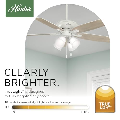 Image of Hunter Amberlin, Indoor, Ceiling Fan, with LED Lights, 52 inch, Fresh White