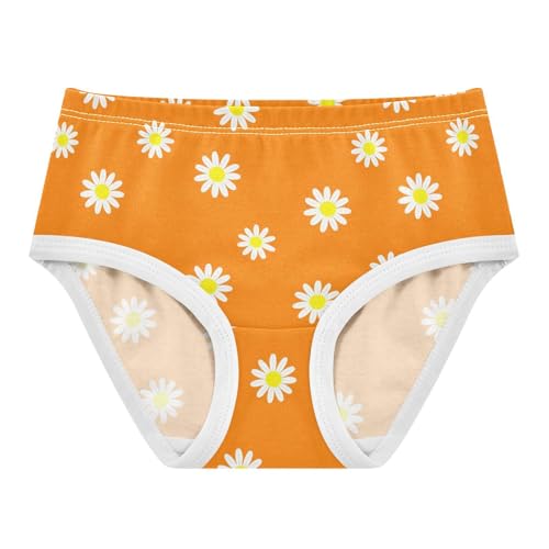 Flowers Floral Orange Toddler Girls's Underwear 2T 2302893