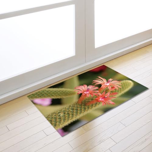 Paillasson extérieur polyester lavable pour protéger durablement vos sols - 2