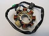 Gorillamechpro GorillaMech Pro Kandi 8-Coil Magneto Stator for 125cc 200cc Go Karts and ATVs Cyclone KD-200GKA-2. KD-200GKM-2, KD-200GKH-2, KD-200GKJ-2, MDL-200ASG-2