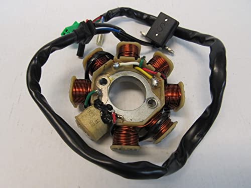 Gorillamechpro GorillaMech Pro Kandi 8-Coil Magneto Stator for 125cc 200cc Go Karts and ATVs Cyclone KD-200GKA-2. KD-200GKM-2, KD-200GKH-2, KD-200GKJ-2, MDL-200ASG-2