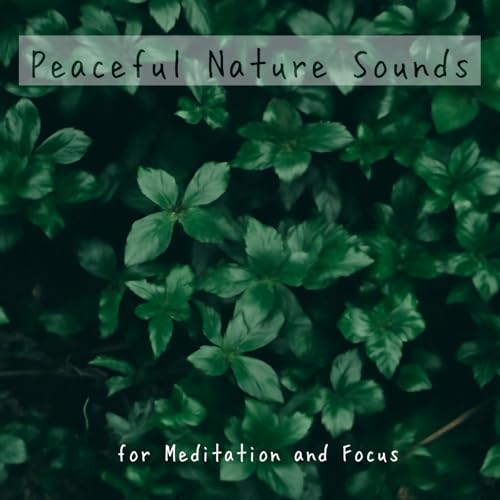 Discover the Remarkable Benefits of Ocean Wave Sounds 6 Peaceful Nature Sounds for Meditation and Focus