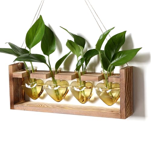 CYZglass Plant Propagation Stations Heart Plant Terrarium Kit