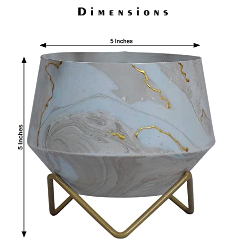 vudy Modern Designer Tabletop Metal Plant Stand Pot - Mid Century Decorative Indoor Plant Pots for Living Room, Balcony and Garden (Design1)