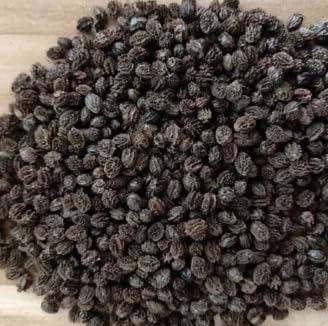Natura GreenHouse Live Papaya plant hybrid all seasons Papaya seeds for home garden, Pepe seeds, Desi Papaya (120 seeds) (B0CTCZJCMS) Amazon Price History, Amazon Price Tracker