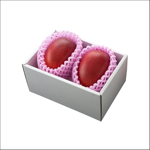 完熟マンゴー「太陽のタマゴ」2〜3玉