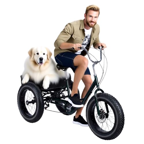 Rodiuiu Fat Tire - Triciclos para adultos, 3 ruedas, 7 velocidades, triciclos para adultos de 20 pulgadas, bicicleta de 3 ruedas con cesta grande, bicicleta de crucero para compras, playa y ciudad