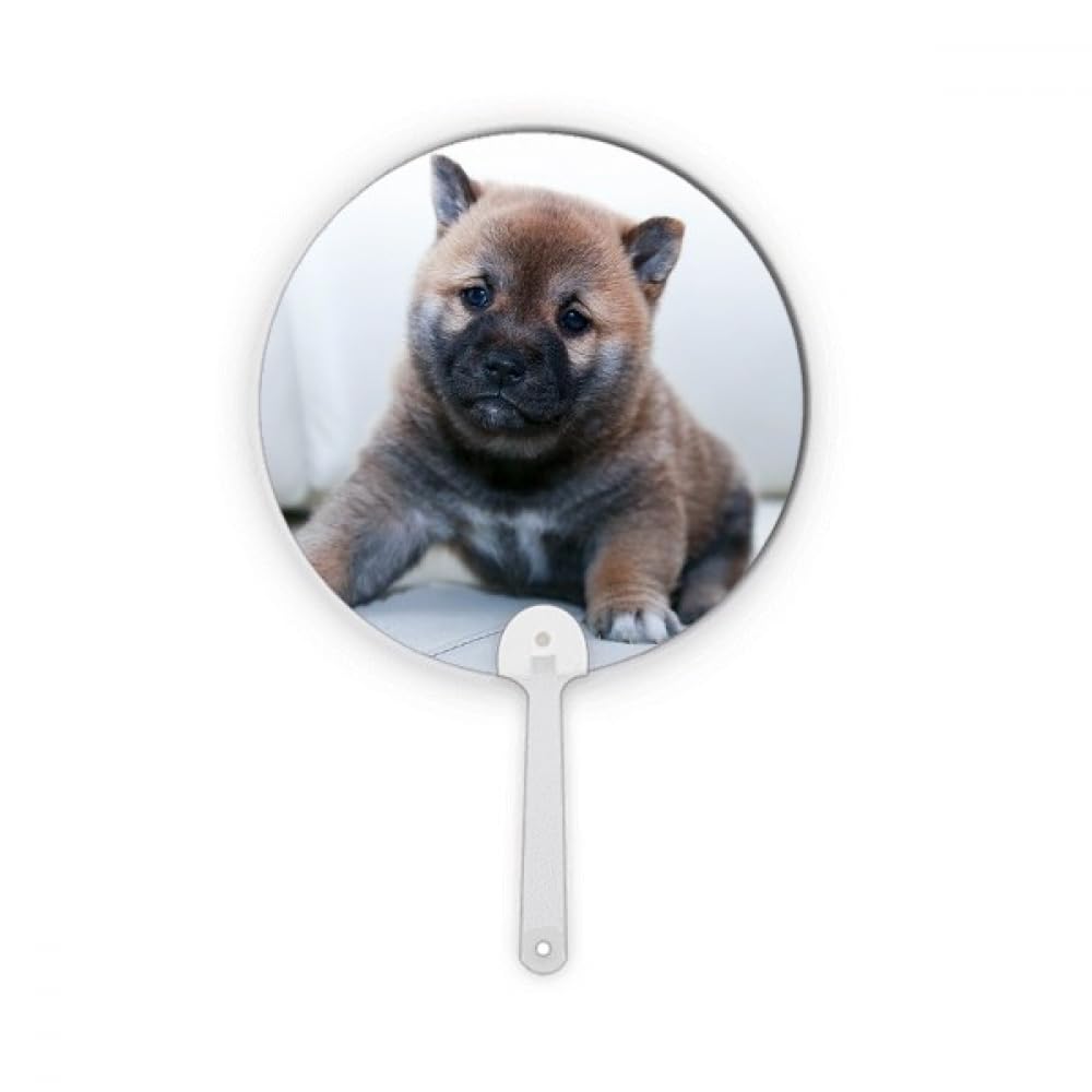 Artisanat Pippy dog éventail rond plastique animal mignon décoration maison