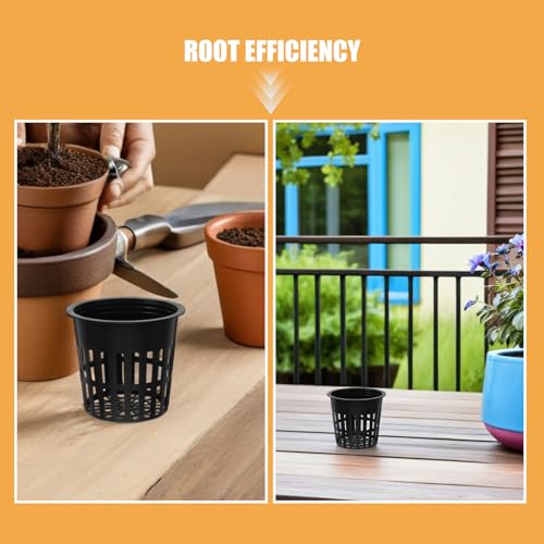 Pots hydroponiques plastique COLLBATH x30 pour panier filet