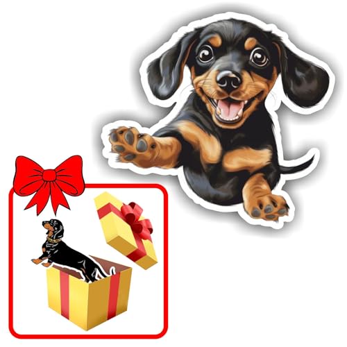 EXPELIA: Brand Italiano produttore di Adesivi, Stickers, Decalcomanie e tanti altri prodotti personalizzabili.